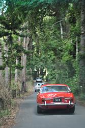 Tamborine Mountain/Gold Coast Hinterland Drive. February-dsc_5621.jpg