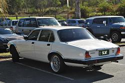 Tamborine Mountain/Gold Coast Hinterland Drive. February-dsc_5660.jpg