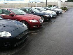 What's Your Jaguar Dealer Look like?-budd1.jpg