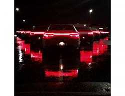 SF Bay Area F-Type December Drive-tails.jpg