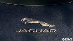 More Pictures of the Cat-ftype-badges-1.jpg