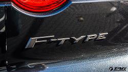 More Pictures of the Cat-ftype-badges-2.jpg