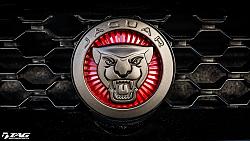 More Pictures of the Cat-ftype-badges-5.jpg