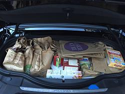 8 bags of groceries vs V8S-grc2.jpg