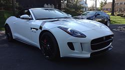 F-Type &amp; Owner wanted for Commercial-image.jpg