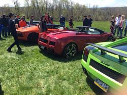 Cars 4 Critters Hershey PA--This Saturday 4/23-hershey17.jpg