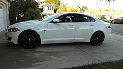 Anyone want to trade for an XF?-jaguar3.jpg