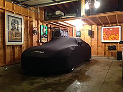 Help-need F-type AFTERMARKET car cover-img_1981.jpg