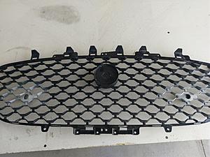 Paramount Performance bumperless grill - DIY-imag0782.jpg