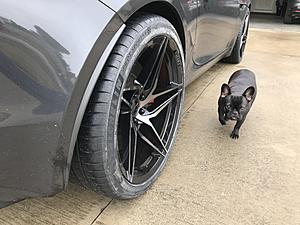 New Wheels and Tires-img_4394.jpg