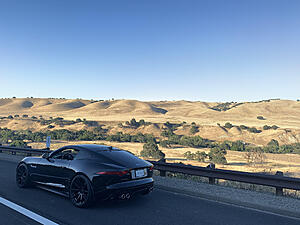 Official Jaguar F-Type Picture Post Thread-owude7r.jpg