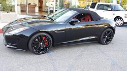 My Black Beauty is here!-992895_10201403435838166_968218762_n.jpg