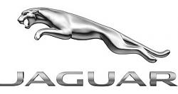 My New Racing Helmet-jaguar_logo_detail.jpg