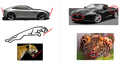 Best visual design feature on the F-Type-jag-lines.png