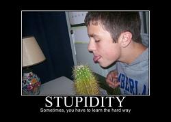 Electric SC install-1292stupidity-learn-hard-way-motivational.jpg