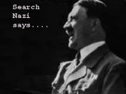 Useless website-search-nazi.gif