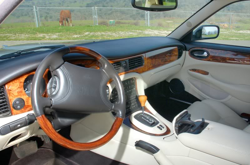 Name:  Interior_Driver.jpg
Views: 17
Size:  73.3 KB