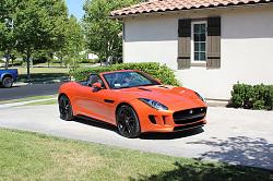 New Member: Just picked up my F-Type-7269_10100660735422956_1925711384_n.jpg