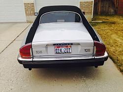 New Jag Owner: Custom 90' Jag XJS Silver-1972376_10203437566962876_1012259232_n.jpg