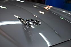 New Jaguar Pictures-hood-ornament-shot.jpg