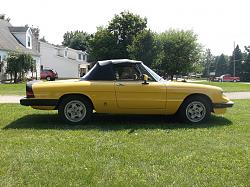 1984 Alfa Romeo Spider Veloce-dscf0837.jpg