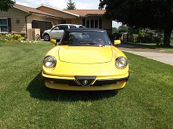 1984 Alfa Romeo Spider Veloce-dscf0841.jpg