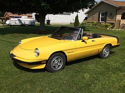 1984 Alfa Romeo Spider Veloce-dscf0860.jpg