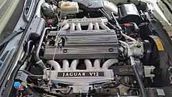 '94 XJ12 * Excellent Condition * 56k Miles * ,500-10-jag-engine.jpg