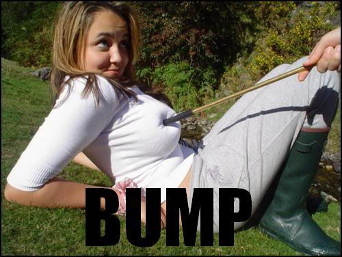 Name:  123Bump.jpg
Views: 111
Size:  36.4 KB