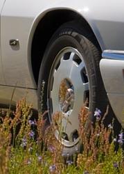 Wanted:  Single 1996 XJS Celebration wheel-wheel.jpg