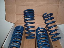 Name those Springs-dscf1150.jpg