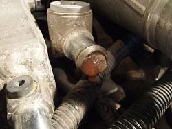 Jelly in one coolant hose?-pa120774s.jpg