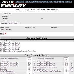 P0171,0172,0174,0175,1000 Rest Perf Help-aereport20111211.jpg