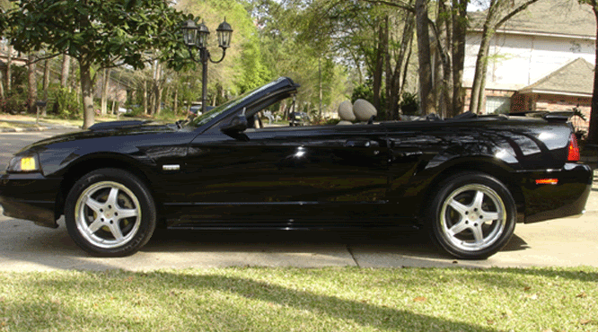 Name:  Mustang-Side-A.gif
Views: 25
Size:  167.0 KB