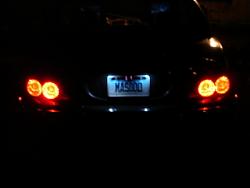  LED License Plate Lights?-dsc01226.jpg