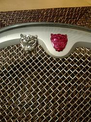 Jaguar Growler Grille Badge-growler-old-new.jpg