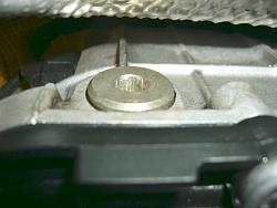 ZF transmission oil and sleeve change writeup with pics FAQ-transmission-fill-plug-torx-.jpg