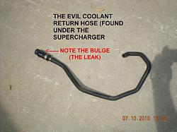 Supercharger removal/coolant leak repair-leaky-hose.jpg