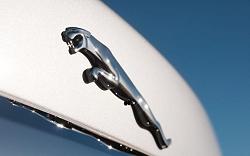 Gorilla nuts on a Jaguar #73138T-2009-jaguar-xf-leaper.jpg