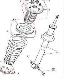 Front Suspension Squeak-strut-spring.jpg