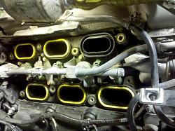 new guy gasket query-img_20110102_142601.jpg