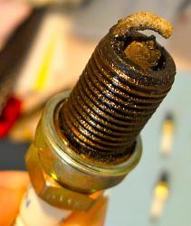 Did spark plug change on STR, and found a big surprise!-sam_0212.jpg