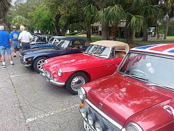 Tampa Bay area picnic Saturday June 29.-cars.jpg