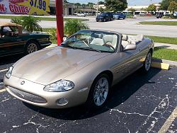 Tampa Bay British Car Club Burger Quest with pics!-20141019_135534.jpg