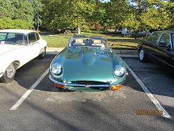 Northern VA - A Pride of Jaguars II, Fair Lakes-img_2153.jpg