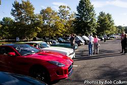 A Pride of Jaguars - Sunday, Sept. 28th, 2014-img_9097.jpg