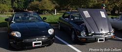 A Pride of Jaguars - Sunday, Sept. 28th, 2014-img_9101.jpg