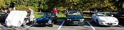 A Pride of Jaguars - Sunday, Sept. 28th, 2014-img_9102.jpg