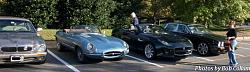 A Pride of Jaguars - Sunday, Sept. 28th, 2014-img_9107.jpg