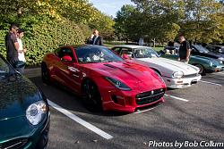 A Pride of Jaguars - Sunday, Sept. 28th, 2014-img_9109.jpg